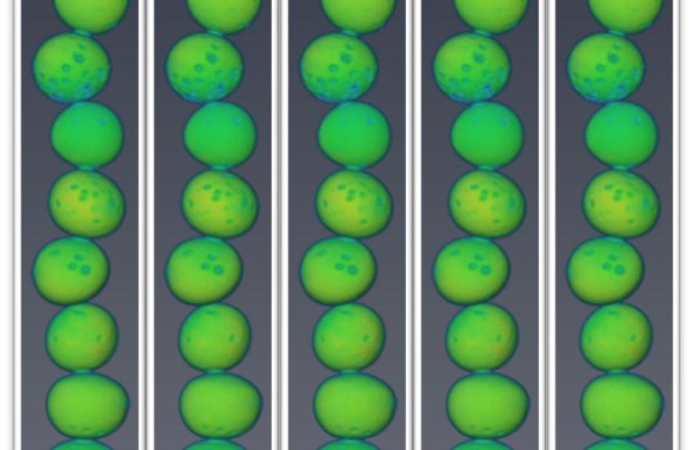 Nuclear — Seeing inside particles 