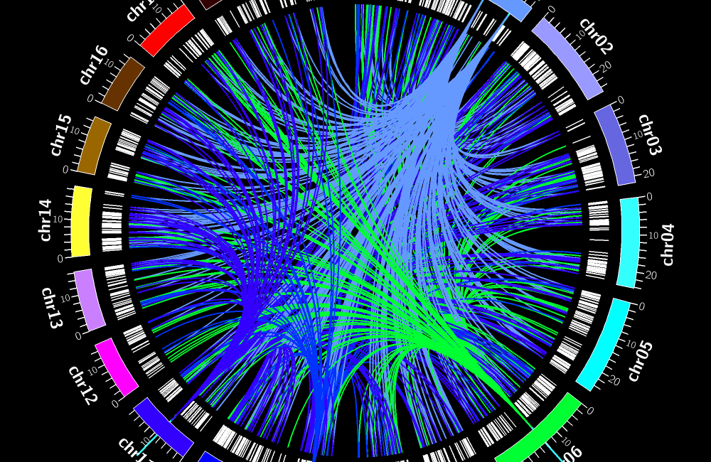 omics chart