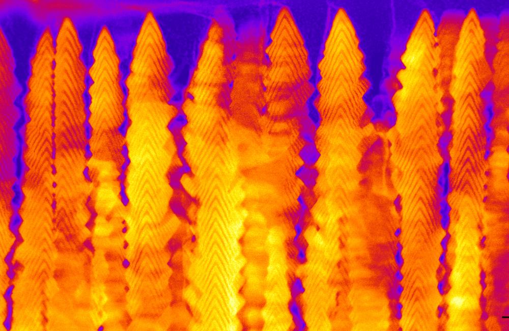 A nanobrush made by pulsed laser deposition of CeO2 and Y2O3 with dim and bright bands, respectively, is seen in cross-section with scanning transmission electron microscopy. Credit: Oak Ridge National Laboratory, U.S. Dept. of Energy