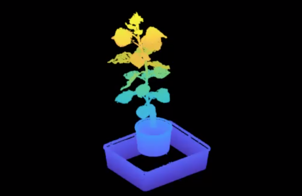 3D model from phenotyping system