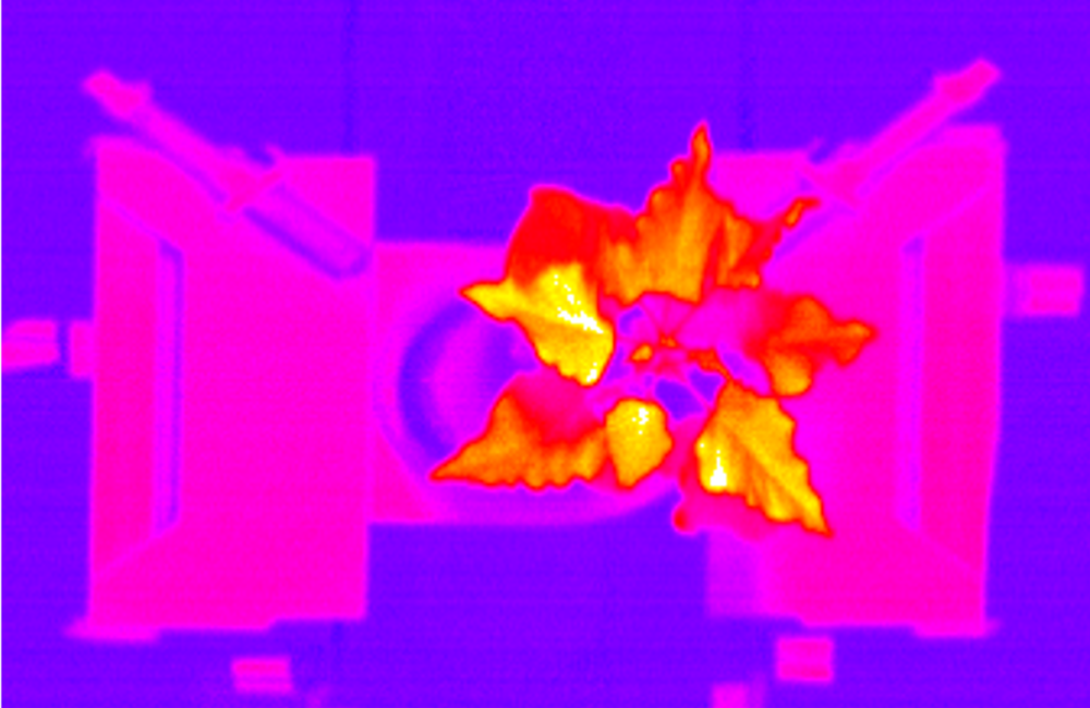 Infrared phenotyping
