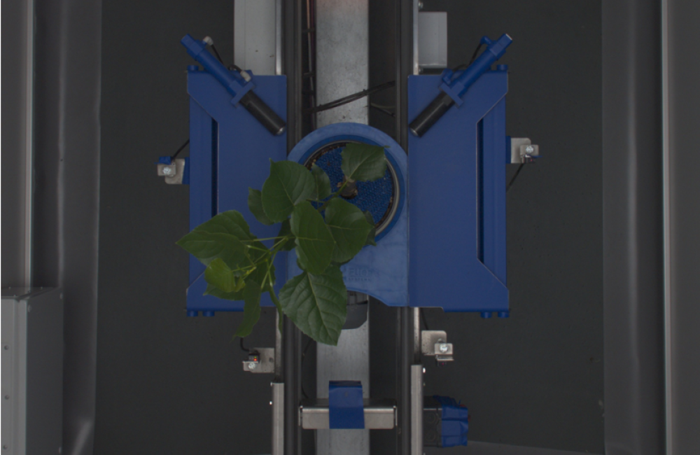 RGB Imaging