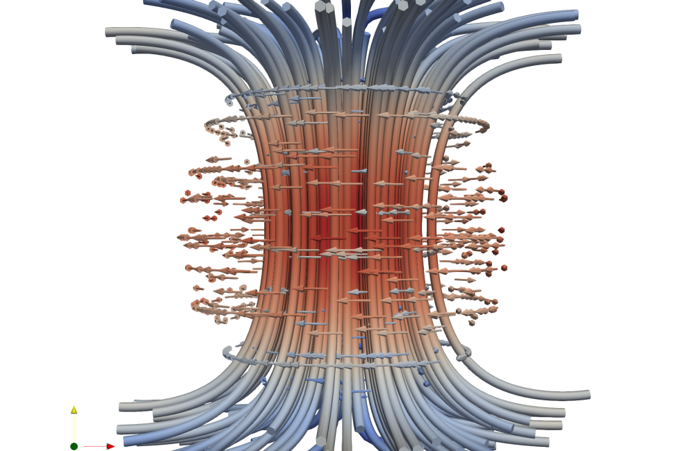 Model of fusion plasma