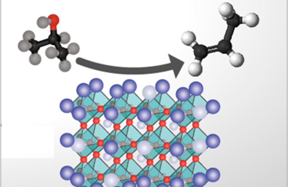 Surface Chemistry and Catalysis Group