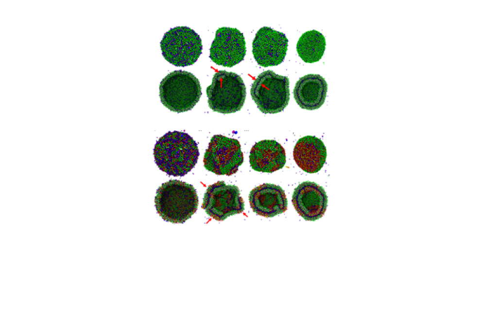 Nanomaterials Theory Institute