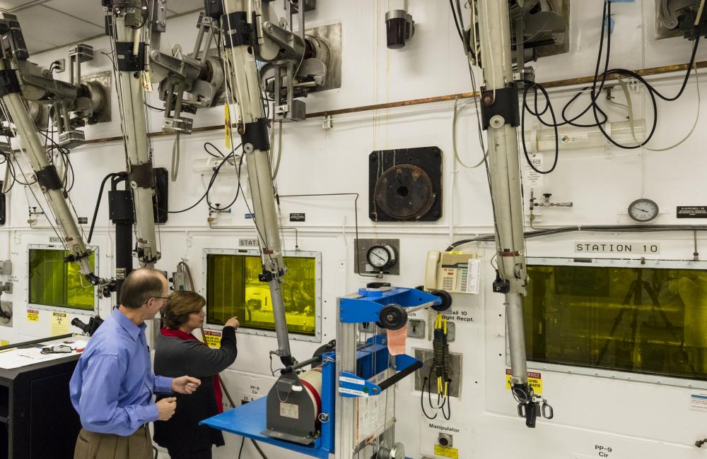 Irradiated Fuels Examination Laboratory Facility