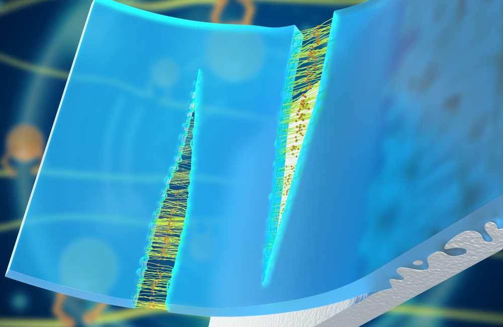ORNL researchers produced self-healable and highly adhesive elastomers, proving they self-repair in ambient conditions and underwater. Credit: ORNL/U.S. Dept. of Energy