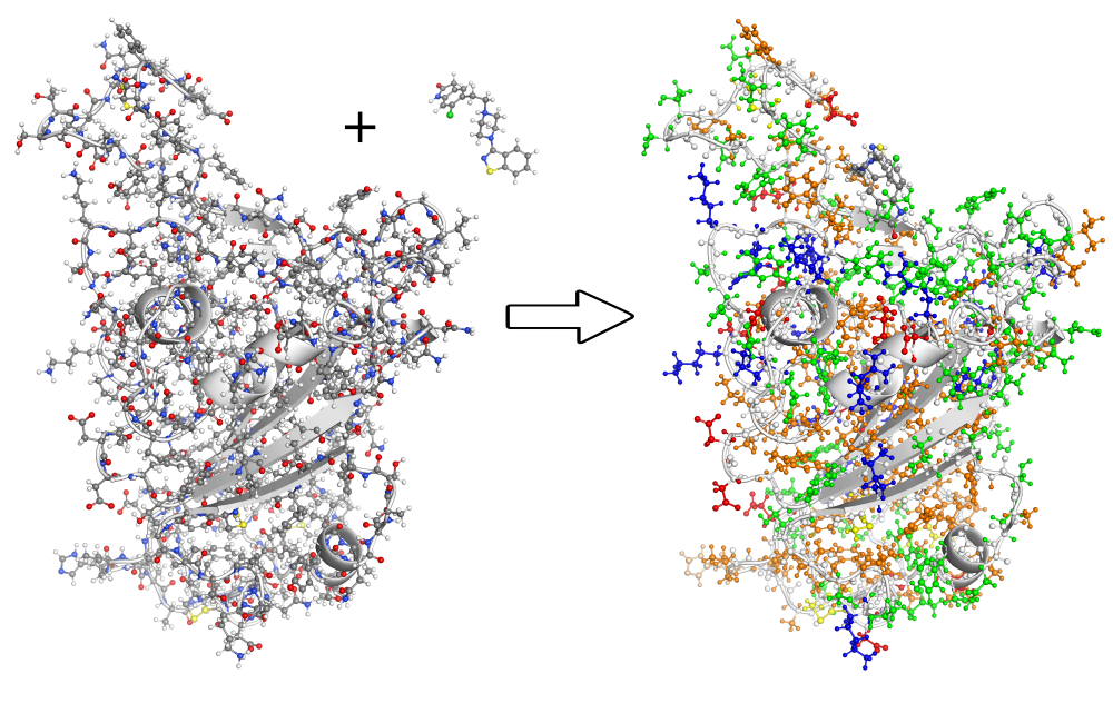 ORNL has modeled the spike protein that binds the novel coronavirus to a human cell for better understanding of the dynamics of COVID-19. Credit: Stephan Irle/ORNL, U.S. Dept. of Energy