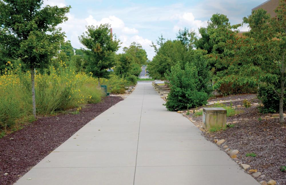 ORNL Arboretum