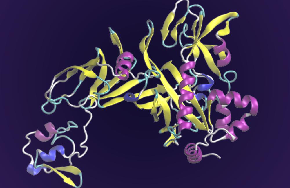 This protein drives key processes for sulfide use in many microorganisms that produce methane, including Thermosipho melanesiensis. Researchers used supercomputing and deep learning tools to predict its structure, which has eluded experimental methods such as crystallography.  Credit: Ada Sedova/ORNL, U.S. Dept. of Energy