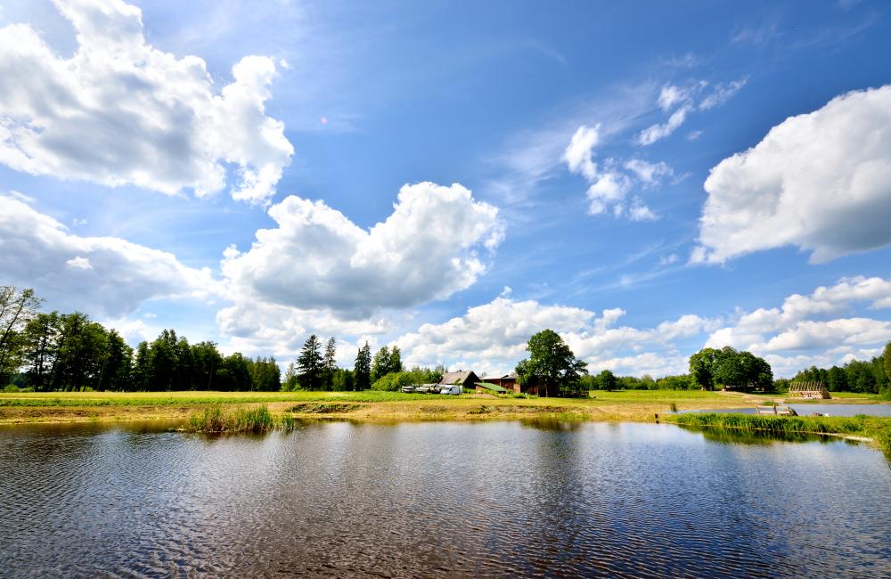 rural lake