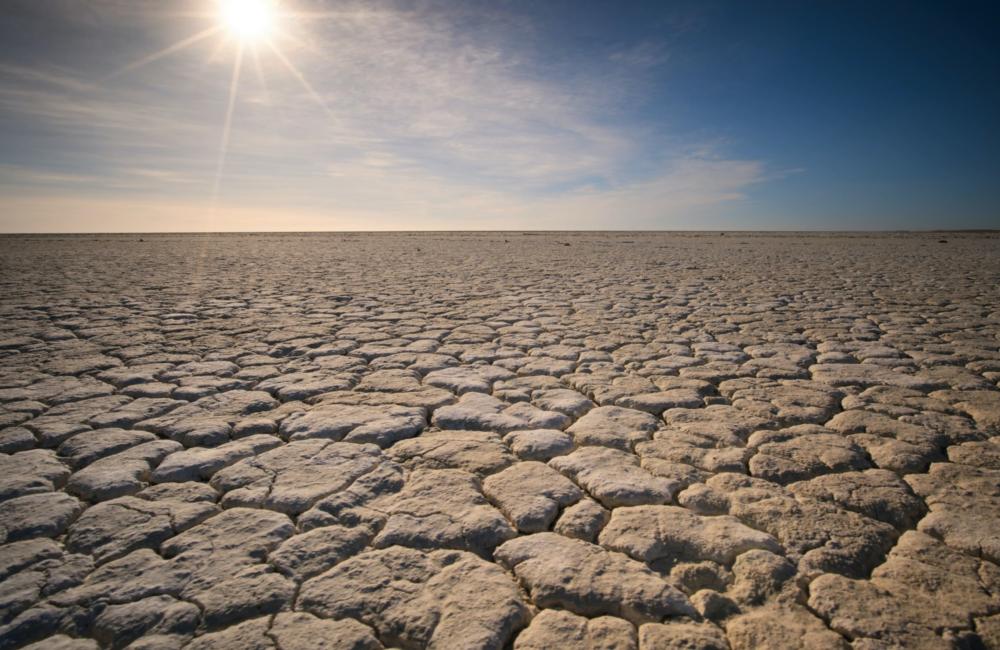 Co-occurring droughts could threaten global food security | ORNL
