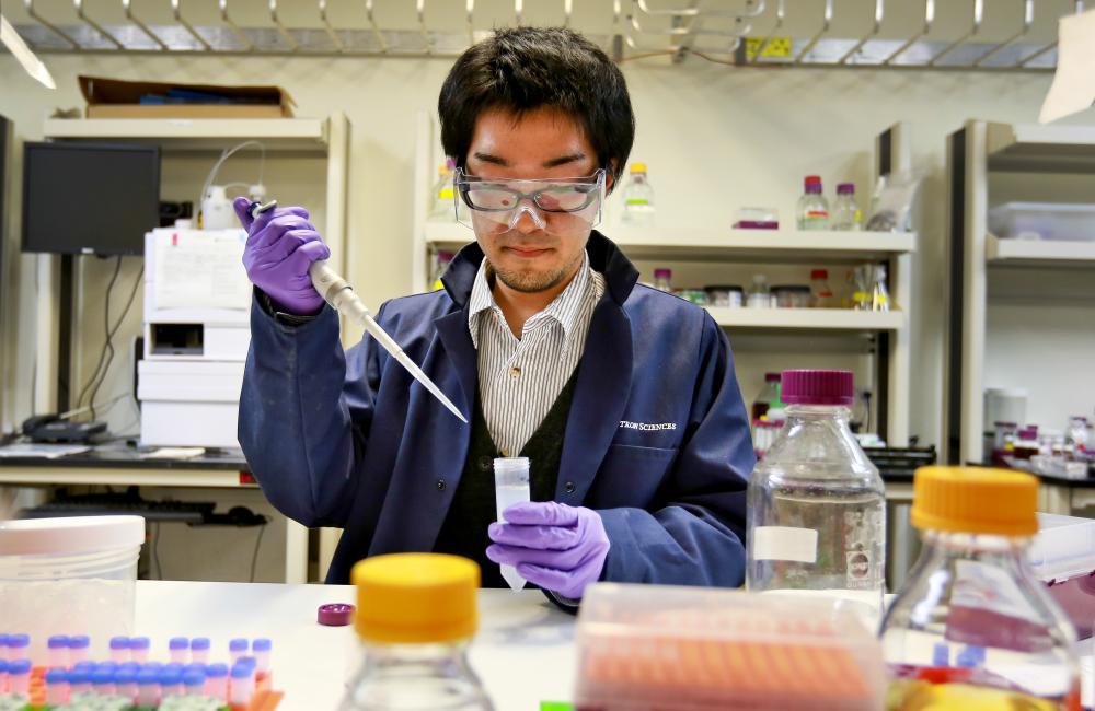 Post doc in lab 