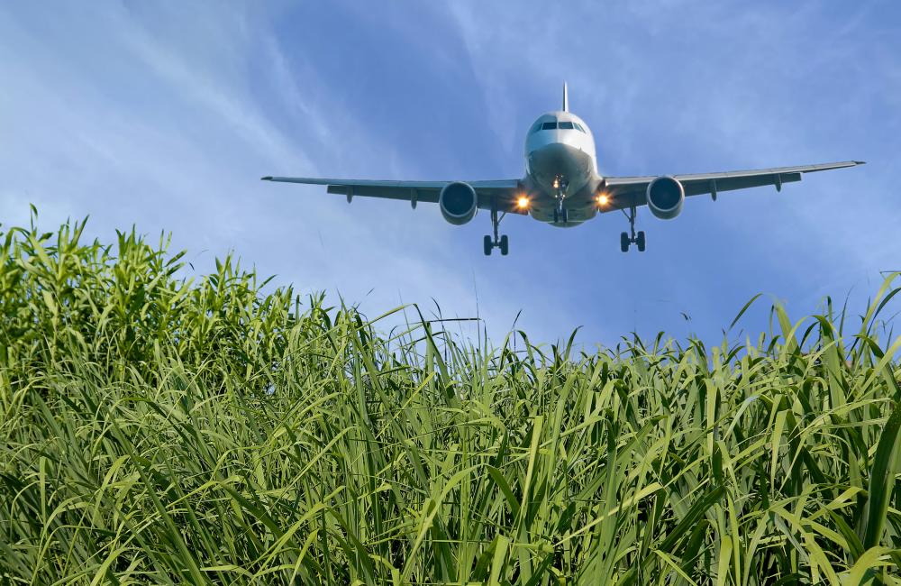 Scientists with the Center for Bioenergy Innovation at ORNL highlighted a hybrid approach that uses microbes and catalysis to convert cellulosic biomass into fuels suitable for aviation and other difficult-to-electrify sectors. Credit: ORNL, U.S. Dept. of Energy