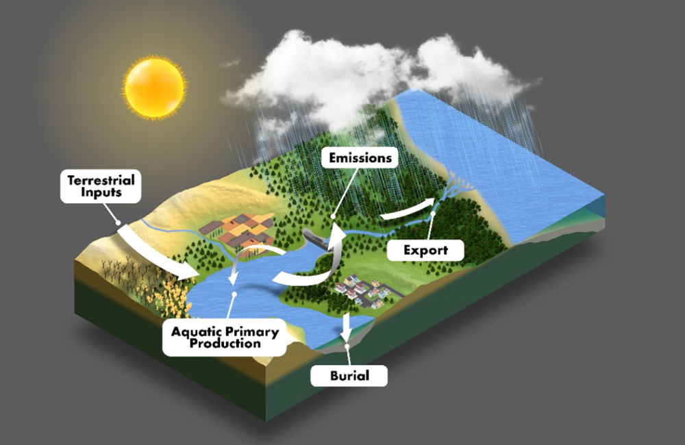 ORNL scientists synthesizing research on the complex biogeochemical processes at play in inland waters found that carbon emissions are about 13% higher than previously estimated. Credit: Adam Malin/ORNL, U.S. Dept. of Energy