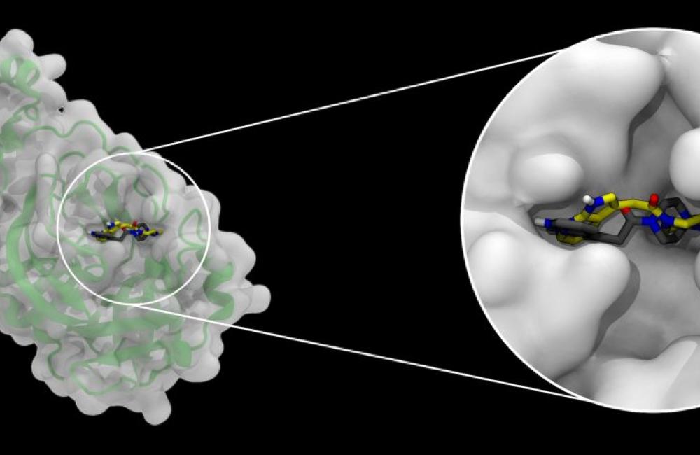 Visualization of binding pockets in a protein 