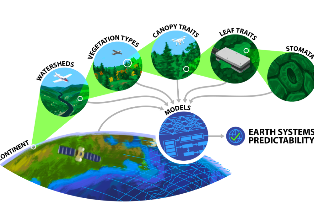 A variety of measurement techniques capture data across spatial scales from stomata to biomes. Machine learning approaches are needed to simulate important processes across those scales and improve Earth system predictability.