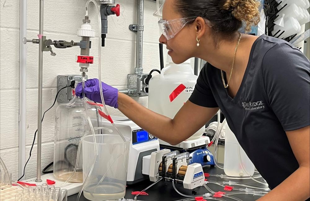 Florida International University student Caridad Estrada worked alongside ORNL biogeochemists as part of a DOE internship in the summer of 2022. Credit: Melanie Mayes/ORNL, U.S. Dept. of Energy