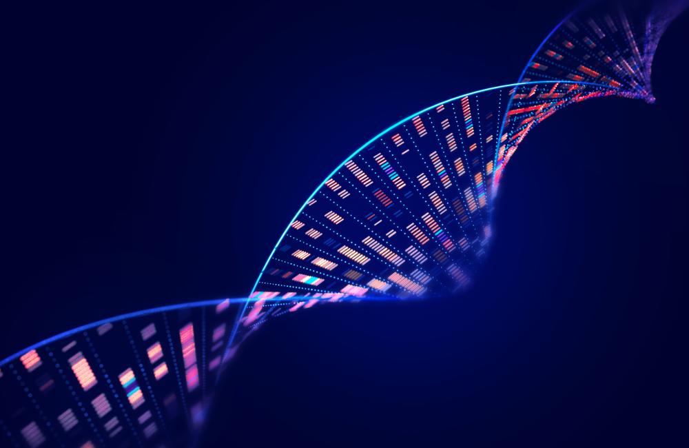 Artificial intelligence is becoming an increasingly valuable tool for ORNL researchers tackling the many mysteries of cancer. Credit: Getty Images.