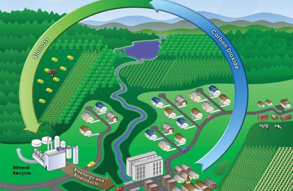 Illustration showing the reduction of carbon dioxide 