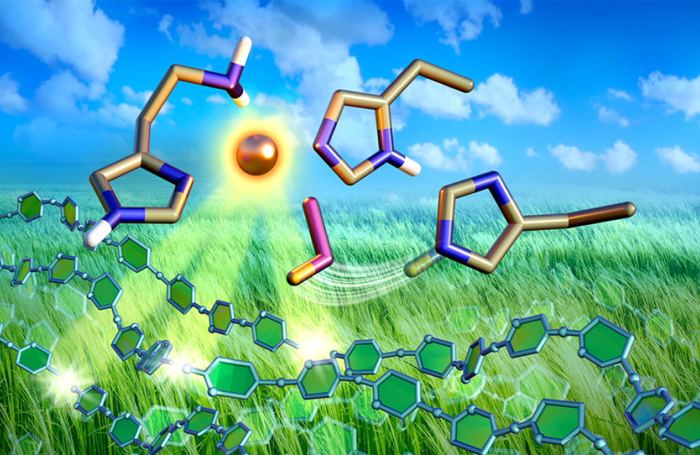 Neutron scattering experiments at the Spallation Neutron Source revealed how the dynamics between copper and oxygen make a special type of enzyme excel at breaking down biomass. Insights could lead to lowering the cost of biofuel production. Credit: Jill Hemman/ORNL, U.S. Dept. of Energy