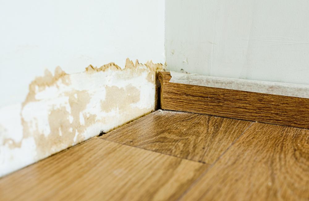 Water-damaged skirting board