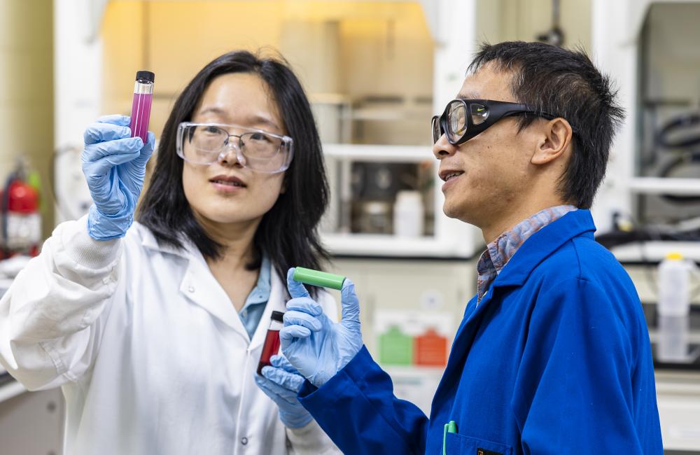 ORNL researchers Lu Yu and Yaocai Bai examine vials that contain a chemical solution that causes the cobalt and lithium to separate from a spent battery, followed by a second stage when cobalt precipitates in the bottom. Credit: Carlos Jones/ORNL, U.S. Dept. of Energy