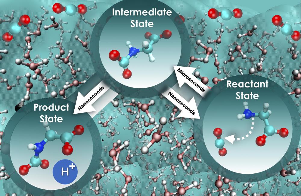 The research team combined a series of advanced computational methods to probe less-explored dynamic phenomena in liquid solutions related to the rate at which carbon dioxide can be captured. The carbon capture process is illustrated above. Credit: Santanu Roy/ORNL, U.S. Dept. of Energy