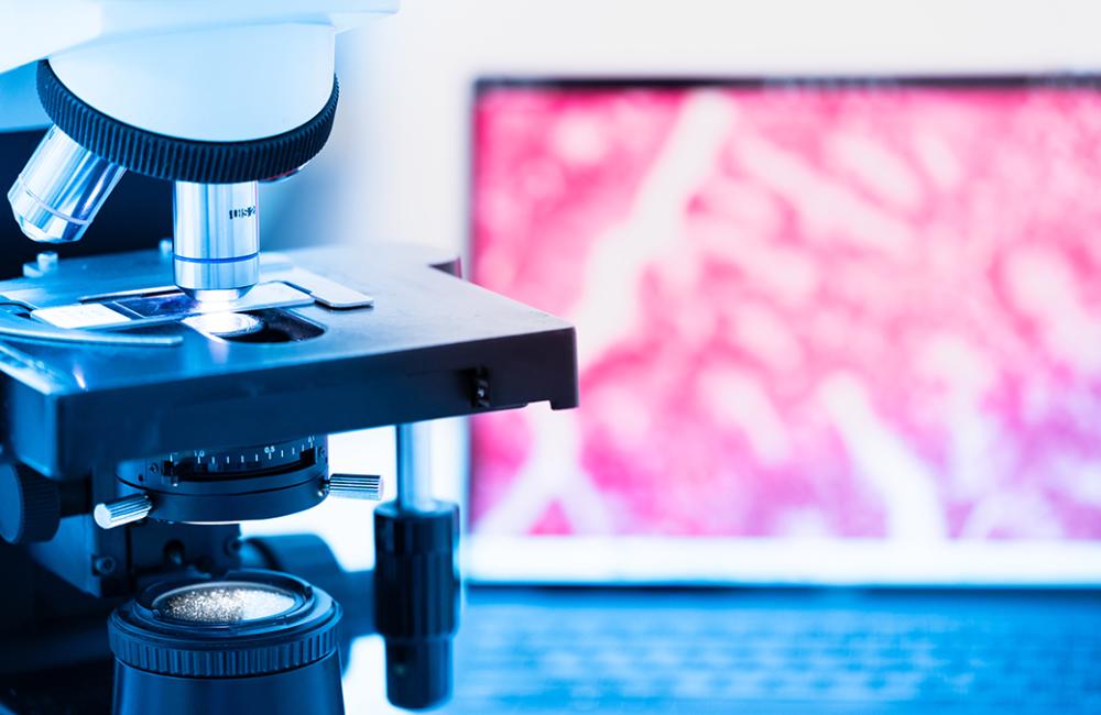 Microscope with tissue sample on display