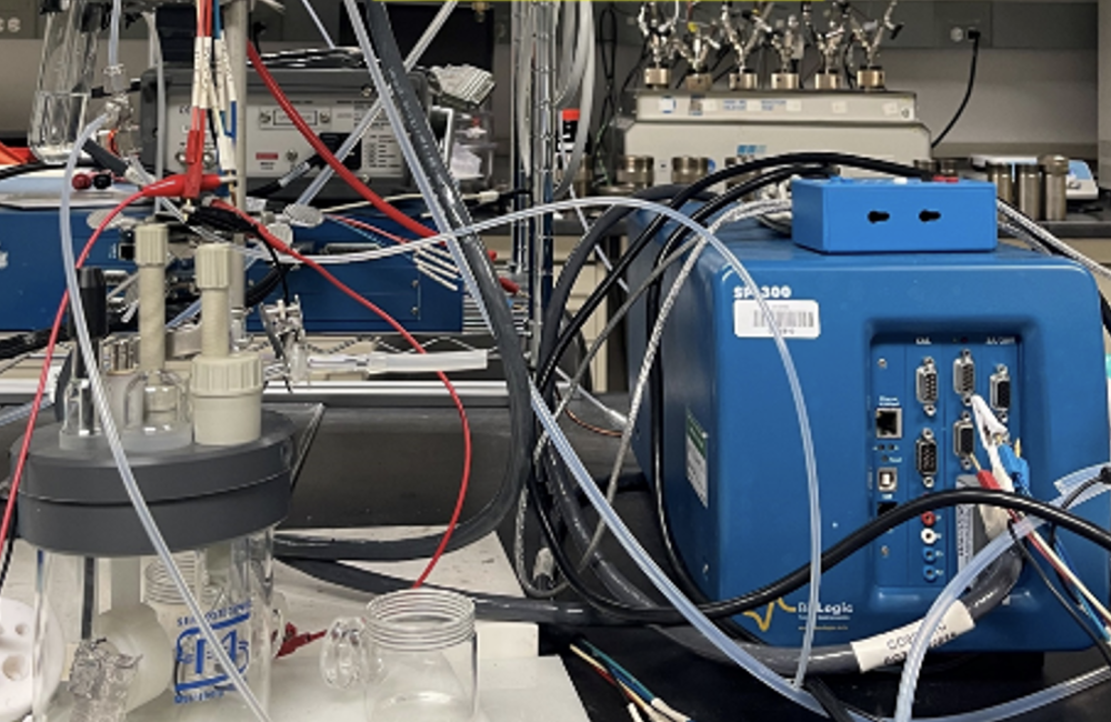 FHN Electrocatalysis