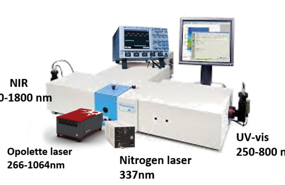 FHN Fluorometer