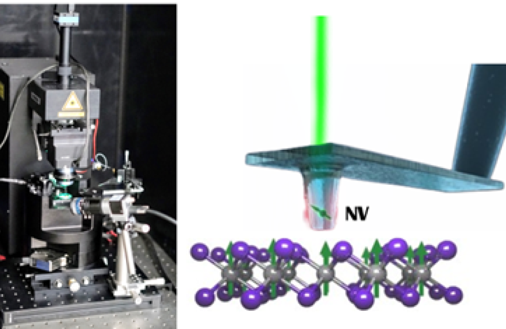 Scanning NV Microscope STM