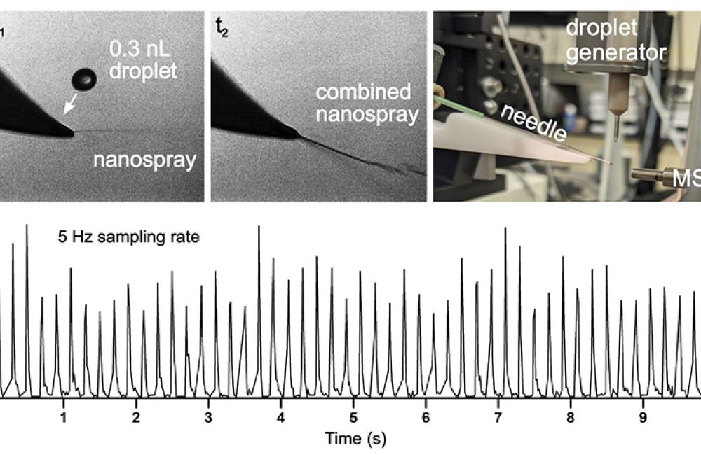Rapid Droplet Sampling Interface
