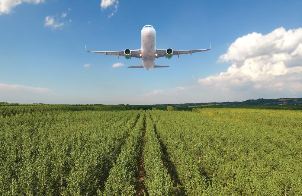 Jet flying over cornfields