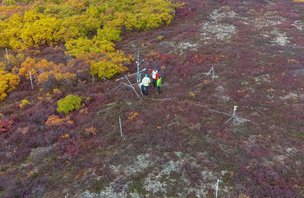 researchers conducting field research in the Alaskan tundra