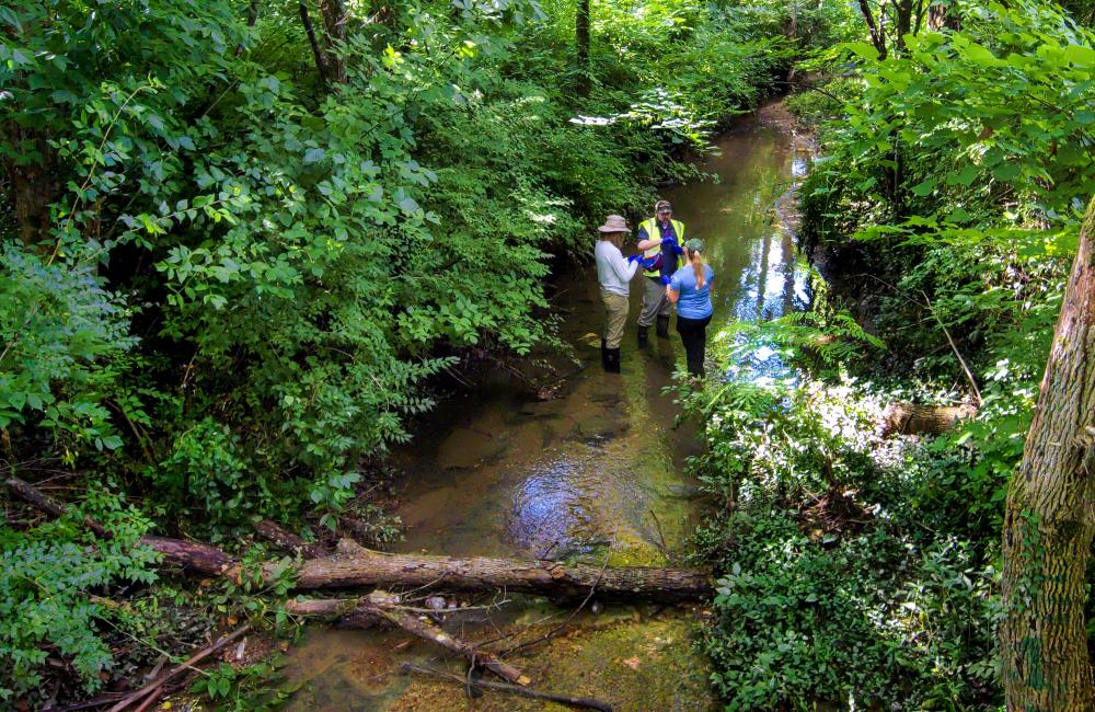 three researchers conduct water sampling in forest creek
