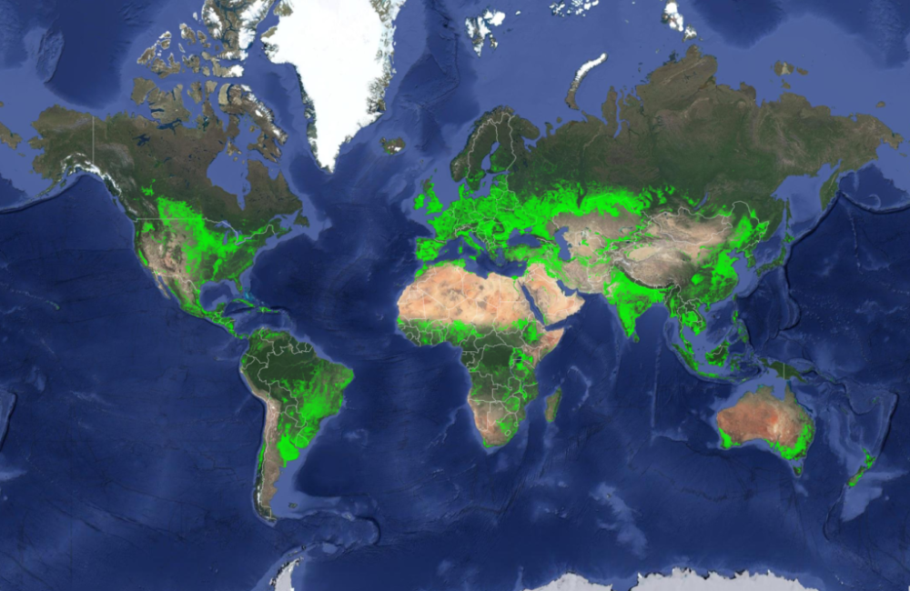 world map