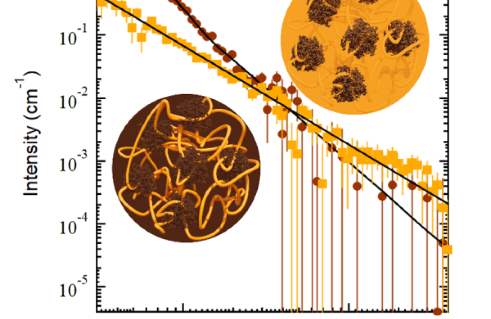 SANS of a lignin – homogalacturonan (pectin) composite at the contrast match points for pectin