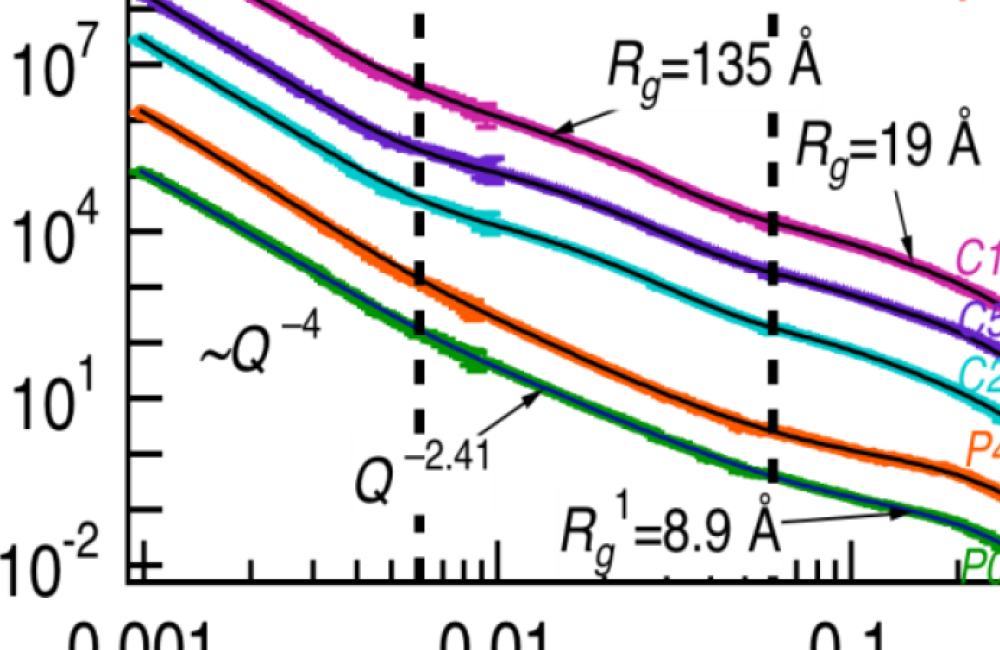 biomass chart 