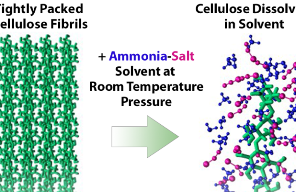 Diagram illustrating the dissolution process of cellulose fibrils. On the left, tightly packed cellulose fibrils are shown as green chains, labeled 'Tightly Packed Cellulose Fibrils.' In the center, an arrow points to the right, with text reading '+ Ammonia-Salt Solvent at Room Temperature Pressure.' On the right, the dissolved cellulose structure is depicted as colorful molecular chains, labeled 'Cellulose Dissolved in Solvent.