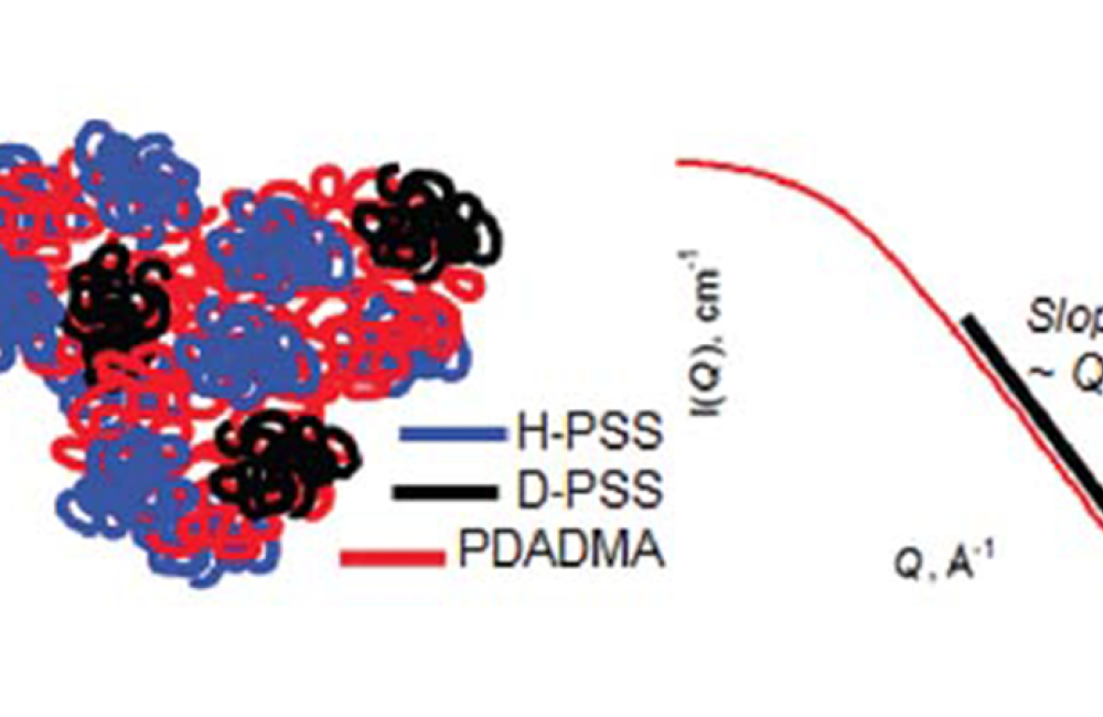 neutron scattering with contrast variation reveals the coil conformation of single polymer molecules in a blend of PSS and PDADMA.