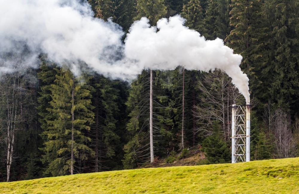 Pipe with thick white smoke in pine forest. Image from Envato