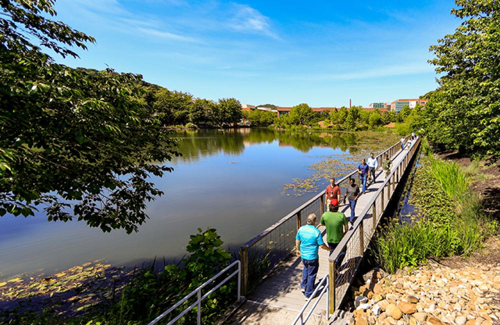 Conference Center pond
