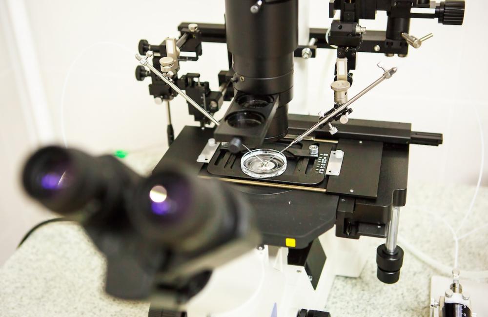 Microscope and optical equipment. Image from Envato