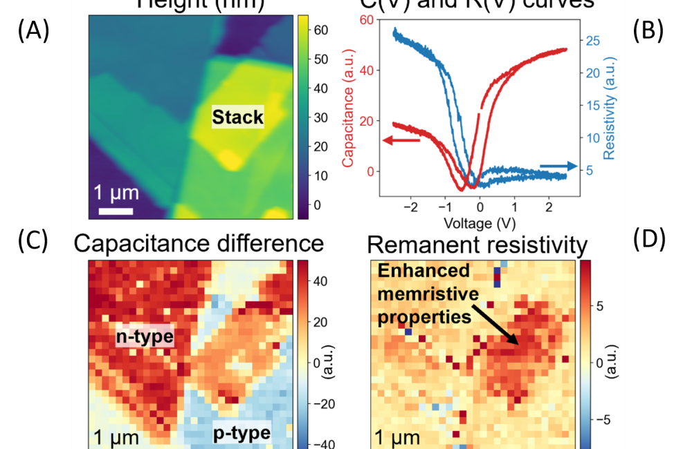Nanoscale Electrical Memory Effects in layered 2D Materials
