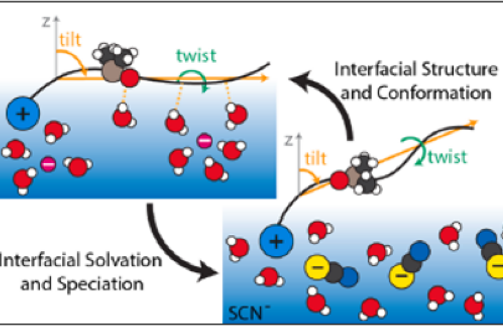 Schematic showing how different anions affect the nanostructures of charged, amphiphilic ODMS-MIM(+) oligomers at an air-aqueous interface