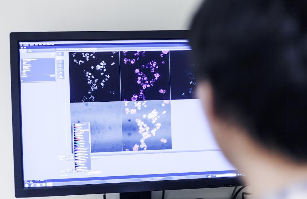 Cropped image of scientist using desktop PC in lab. Screen shows genetic information. Image from Envato