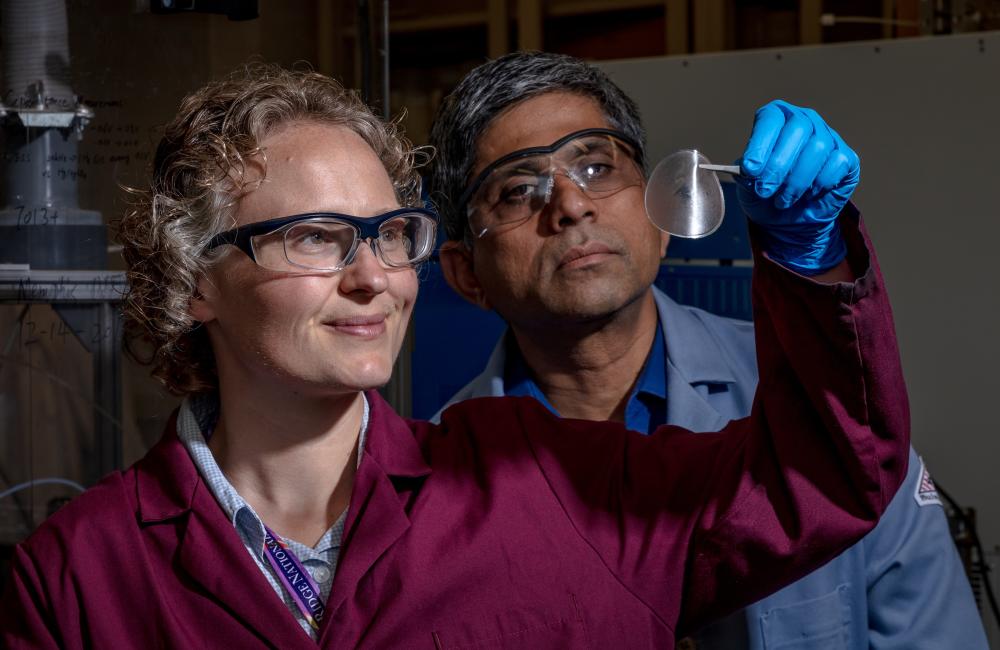 Rose Ruther and Jagjit Nanda have been collaborating to develop a membrane for a low-cost redox flow battery for grid-scale energy storage. 
