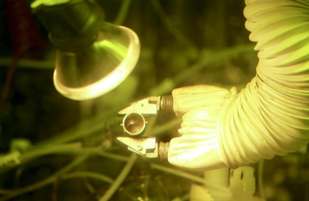 By producing 50 grams of plutonium-238, Oak Ridge National Laboratory researchers have demonstrated the nation’s ability to provide a valuable energy source for deep space missions.