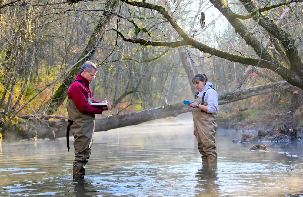 ORNL scientists Scott Brooks and Carrie Miller collecting water quality data, East Fork Poplar Creek.